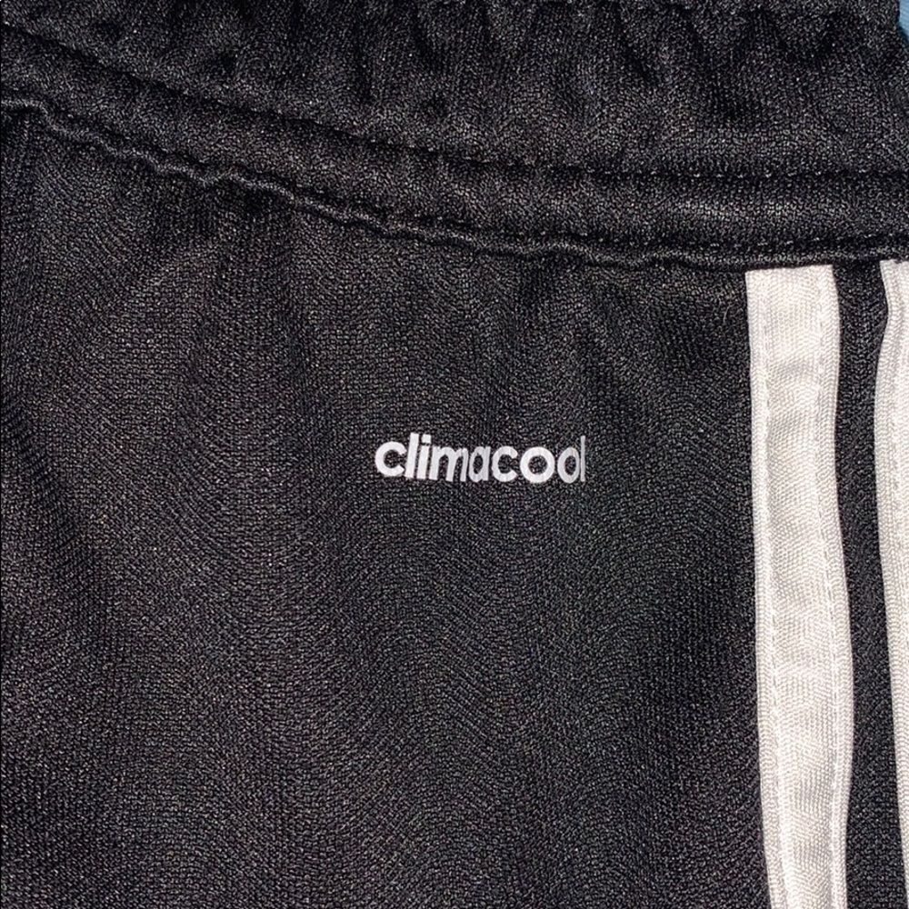 Aidas sweatpants-climacool - Picture 2 of 8